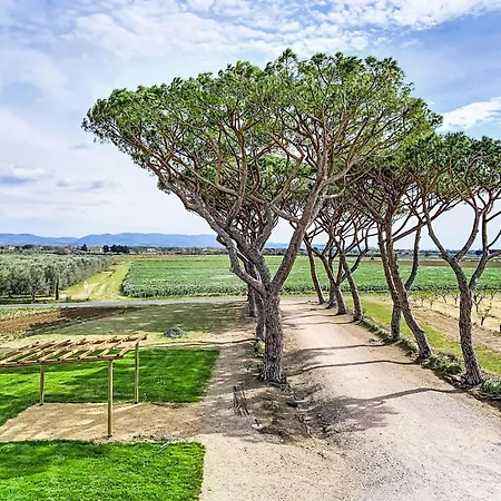 I Pini-4 By Interhome Appartement