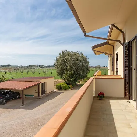 Apartment I Pini-4 By Interhome Marina Di Bibbona