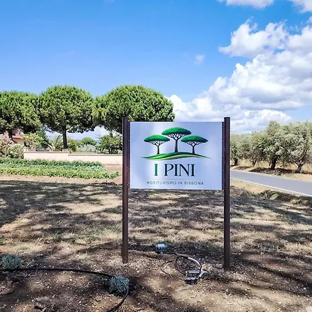 I Pini-4 By Interhome Appartement