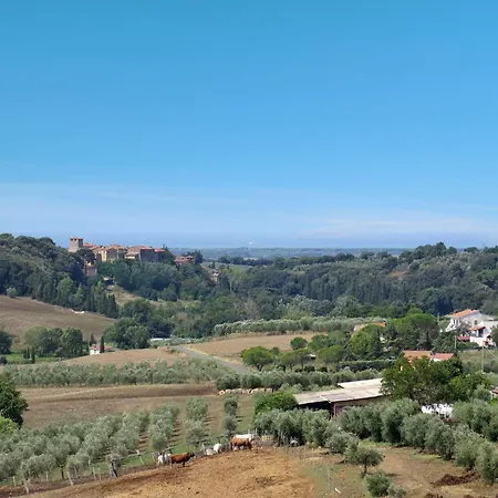 Apartment I Pini-4 By Interhome Marina Di Bibbona